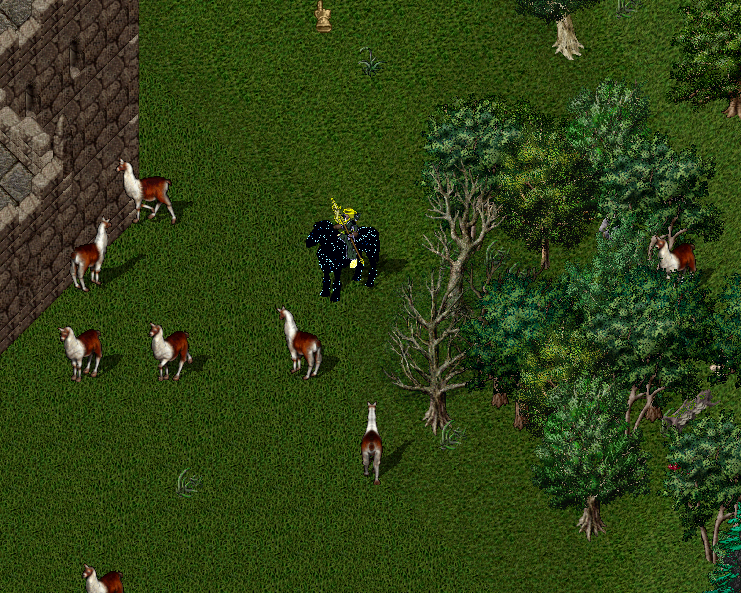 so many llamas.PNG