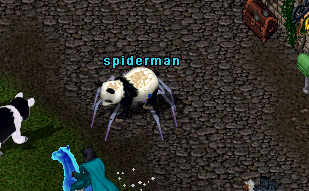 A new breed of panda - it could be called a spander