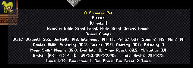 noble-steed.jpg