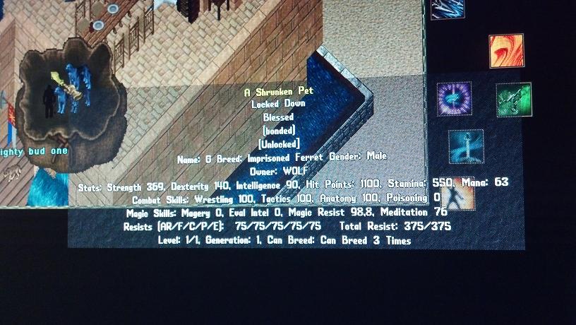 uoex imp market.jpg