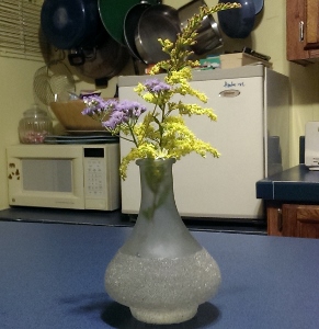 IMAG0096 (291x300).jpg