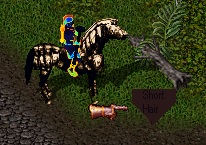 shorthairglitch.jpg