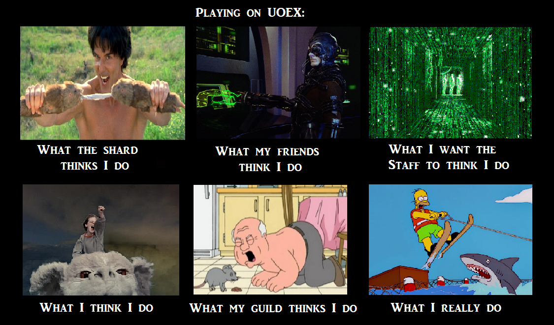 WhatdoIdo.png
