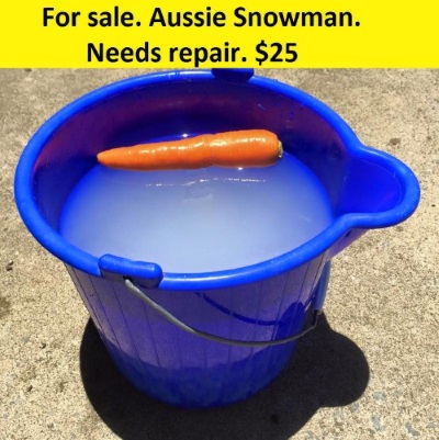 Aussie Snowman.jpg