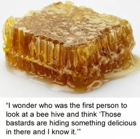 honey.PNG