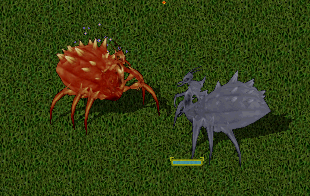 test server matriarchs.png