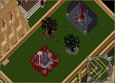 Floor3 w450.jpg