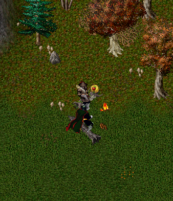harvest.png