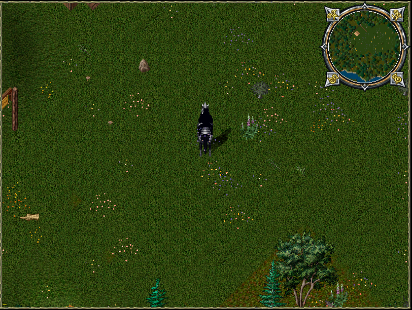 18x18 Yew.PNG