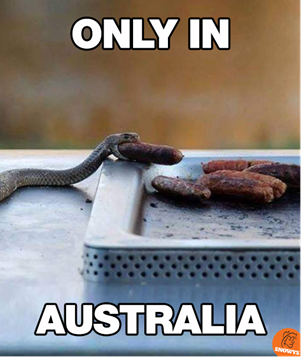 no prawns here.png
