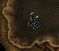 SerpentSkinBoots.jpg