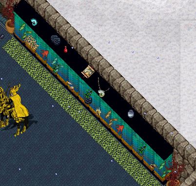 fish tank.JPG