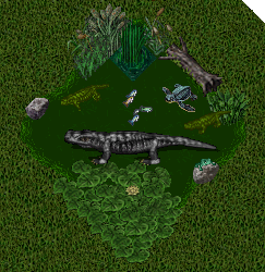 Swamp.PNG