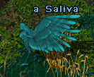 Saliva.png