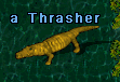 Thrasher.png