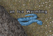 Ice Wyrmling.png