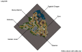 Labyrinth Map.png