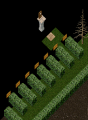 Thumbnail for version as of 00:32, 26 April 2013