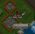 Echee.jpg