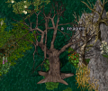 Thumbnail for version as of 04:28, 11 April 2013